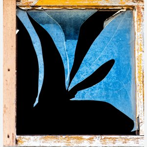 Blick durchs Fenster - Heike Schüler