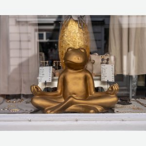 Blick durchs Fenster - Gisela Aul