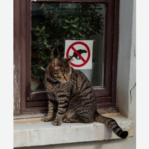 Blick durchs Fenster - Matthias Buhmann