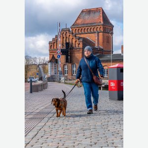 Frau mit Hund - Claus Müller