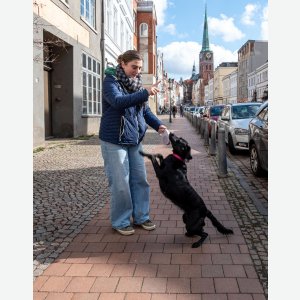 Frau mit Hund - Heike Schüler