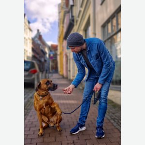 Mann mit Hund - Anja Hage