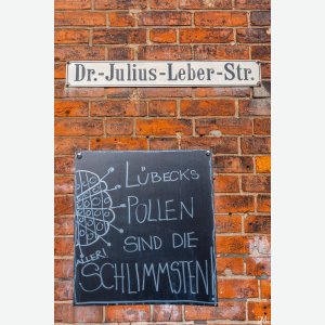 Pollen - Claus Müller