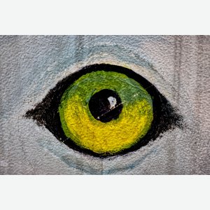 Zeichen der Zeit - Anja Hage