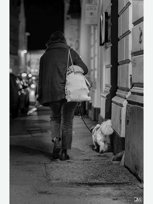 Frau mit Hund - Claus Müller