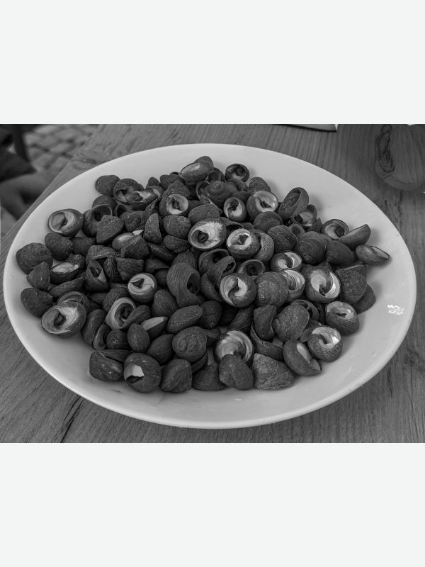 Schnecken-Massaker - Matthias Buhmann