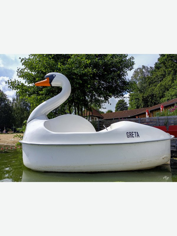 Schwan Greta - Heike Schüler