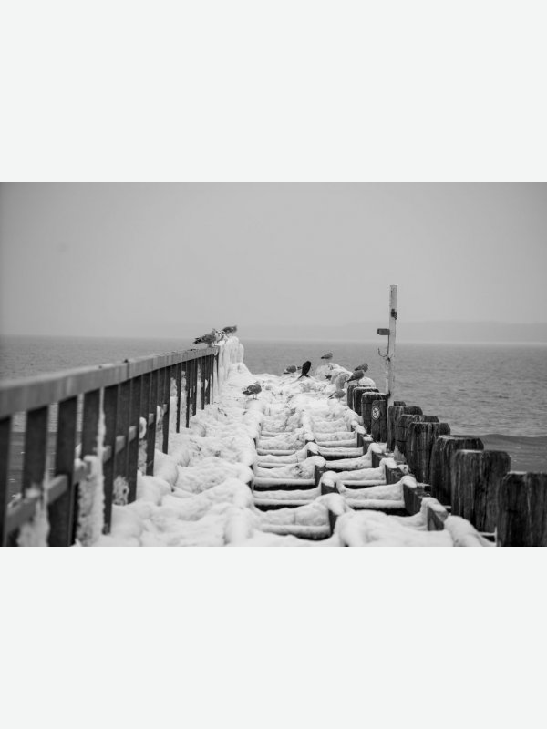 Seebrücke Travemünde - Gisela Aul