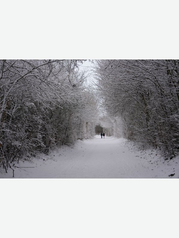 Spaziergang im Schnee - Gisela Aul