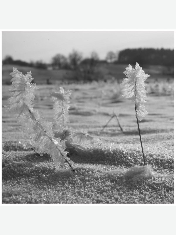 Winter im Travetal 2 - Ines Wowros