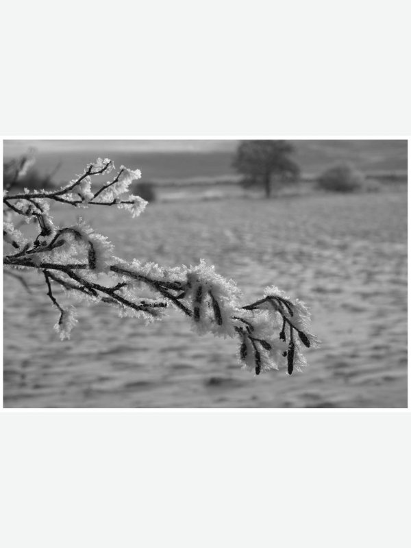 Winter im Travetal - Ines Wowros