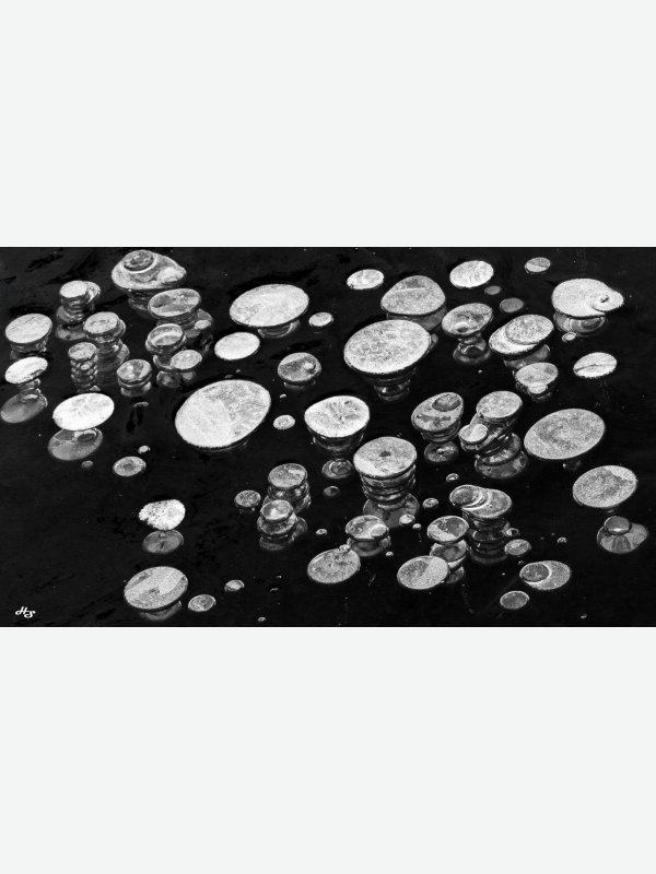 Wunder der Natur - Heike Schüler