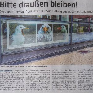 Artikel im "Markt" vom 21.11.2021 zur Fotoausstellung im KuB mit dem Thema "Vielfalt"
