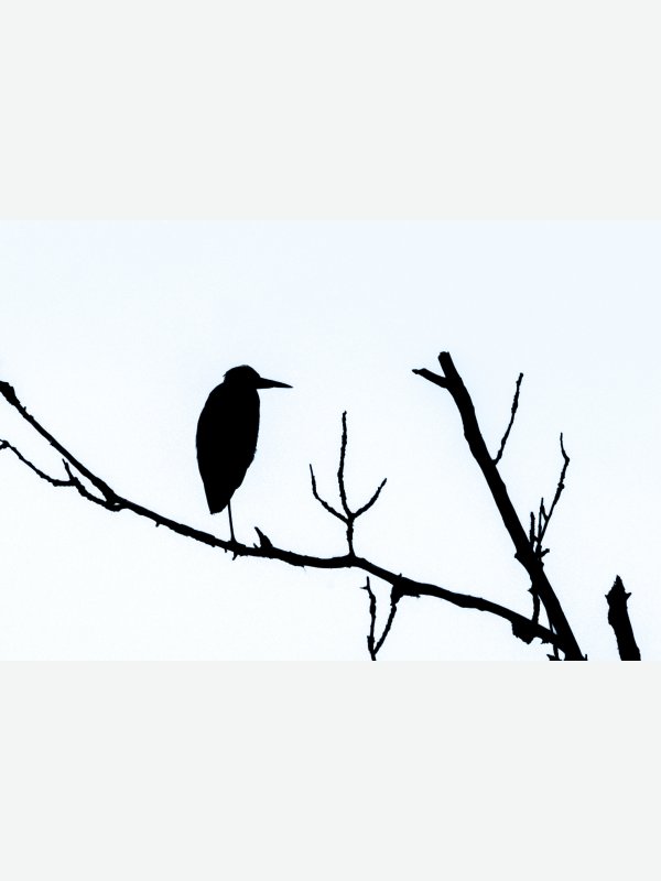 Minimalistisch - Birte Behm
