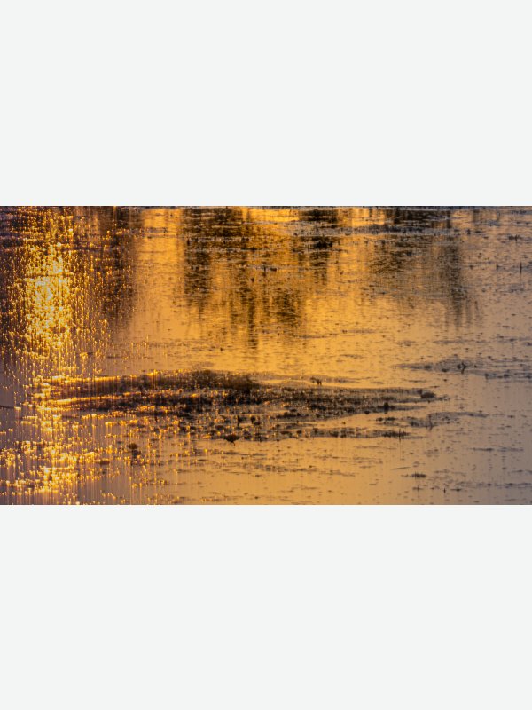 Wasser - Birte Behm