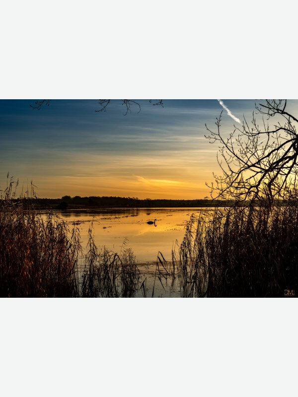 Abendsonne - Claus Müller