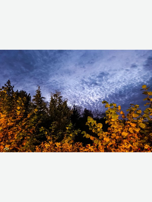 An der Trave - Heike Schüler