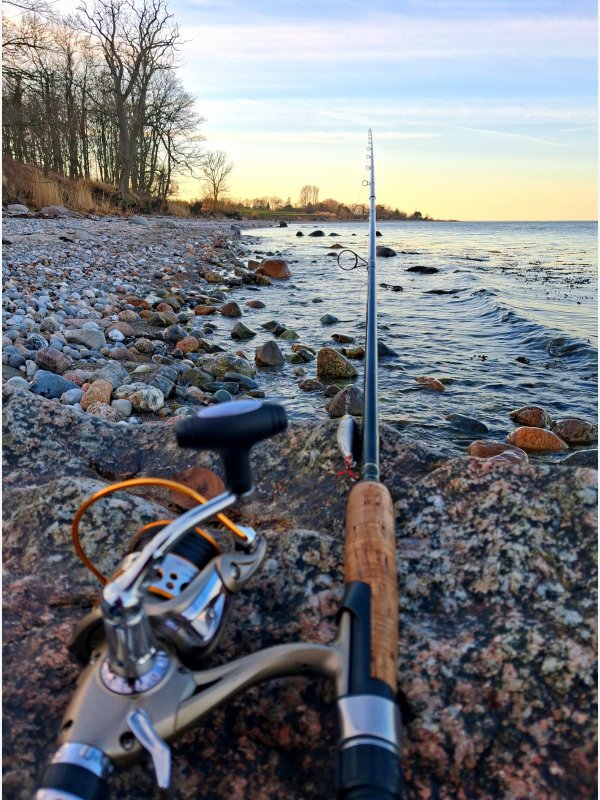 Angelausblick - Thorsten Witt