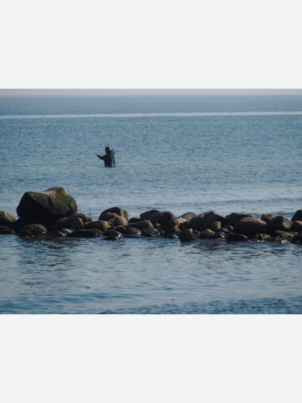 Angler - Gregor Boos