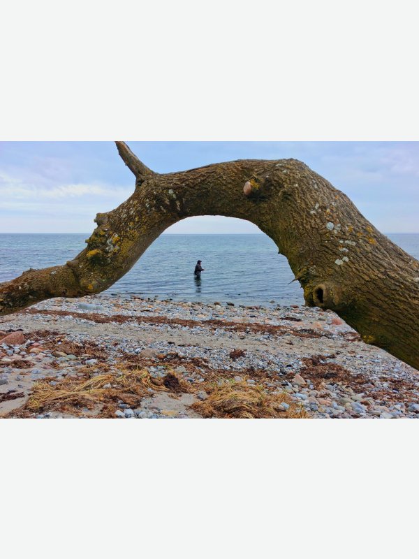 Angler - Thorsten Witt