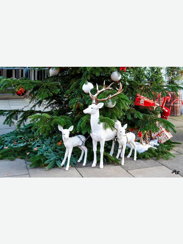 Bad Oldesloe Weihnachtlich - Heike Schüler