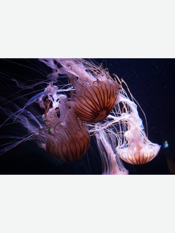 Besuch im Ozeaneum