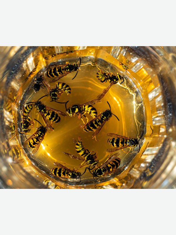 Bier schmeckt auch... - Heike Schüler