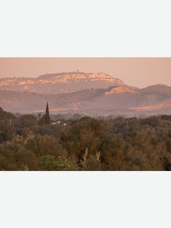 Blick vom Balkon - Birte Behm