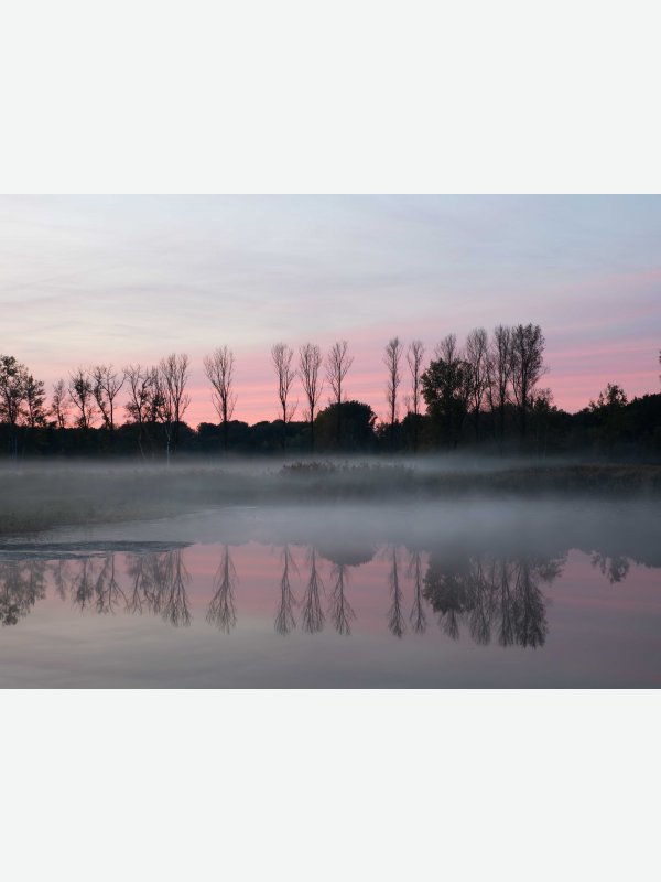 Brenner Moor Abendstimmung - Friderike Bielfeld