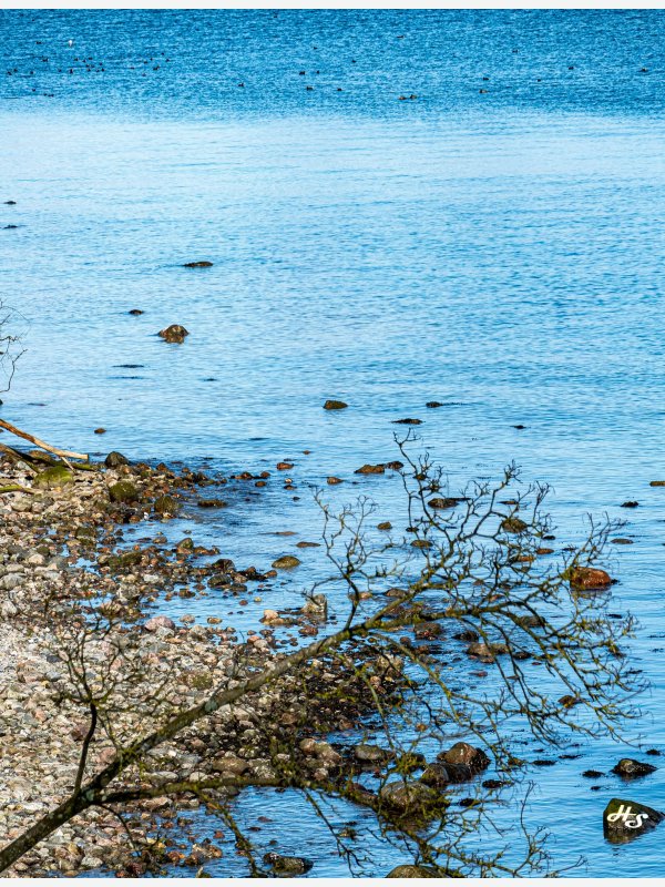 Brodtener Ufer - Heike Schüler
