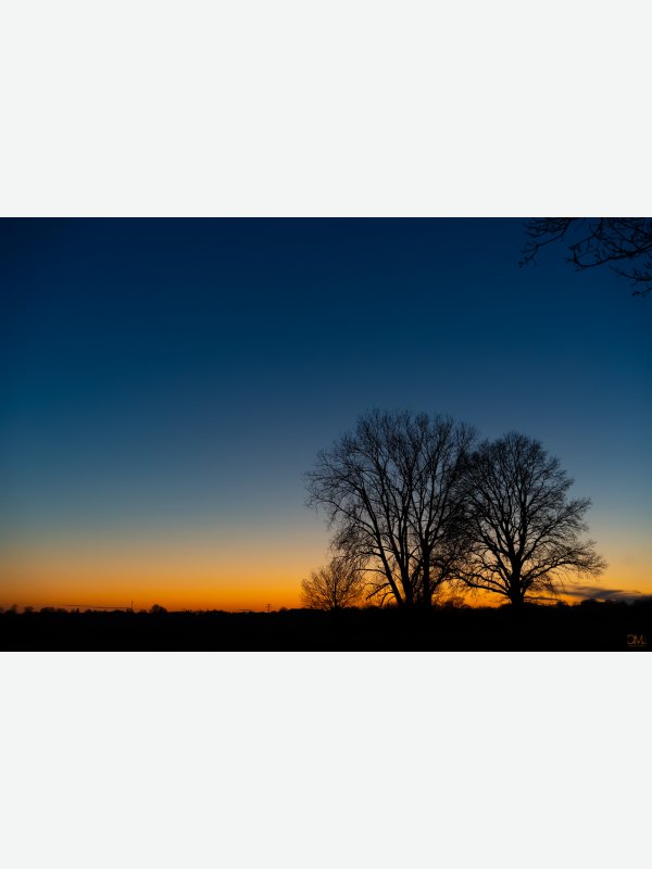 Dämmerung im Duvenseer Moor - Claus Müller