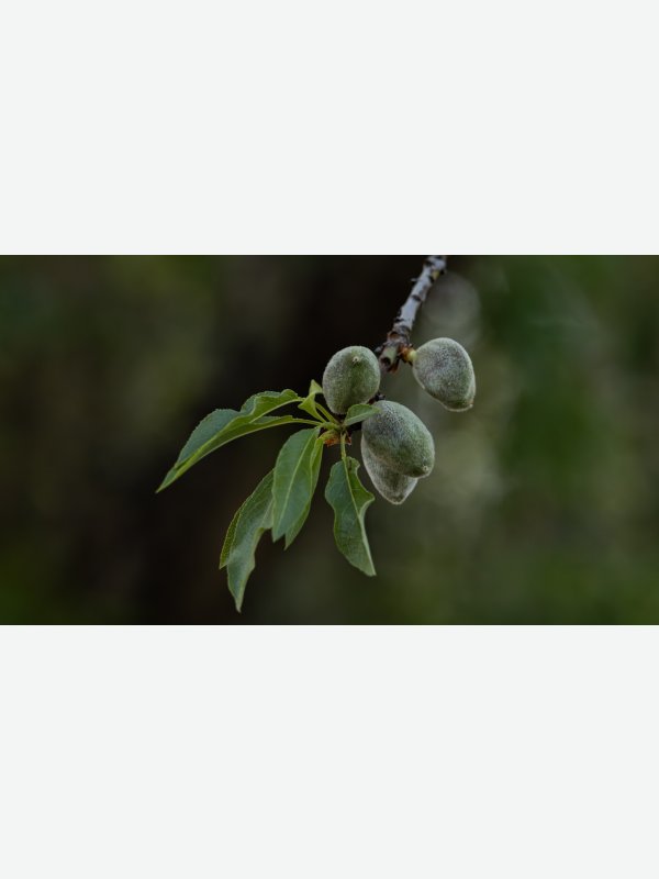 Dauert noch... - Birte Behm