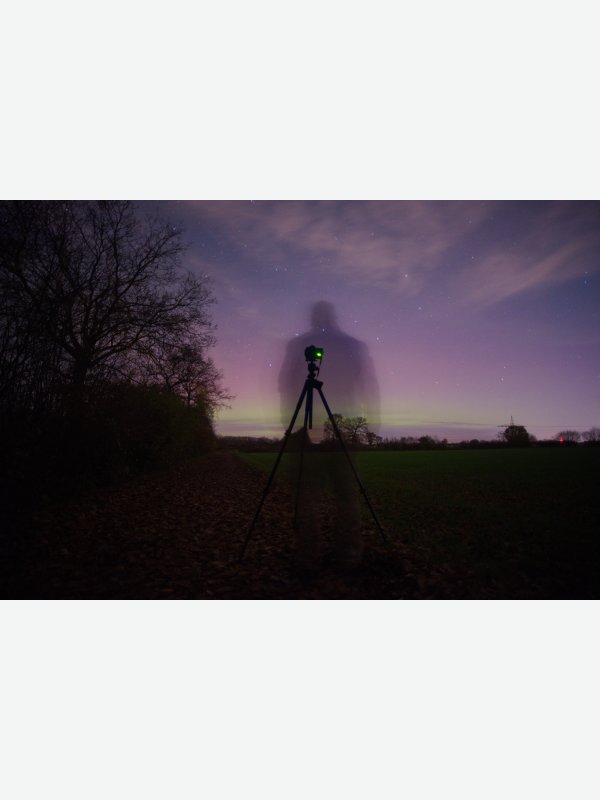 Der Geist im fahlen Lichte - Thorsten Witt