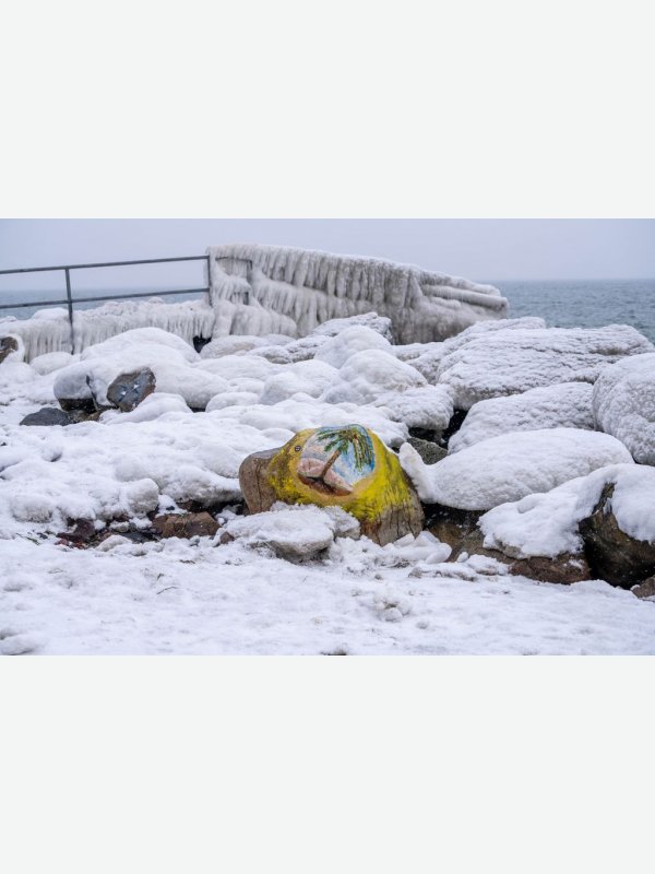 Der nächste Sommer kündigt sich an - Gisela Aul