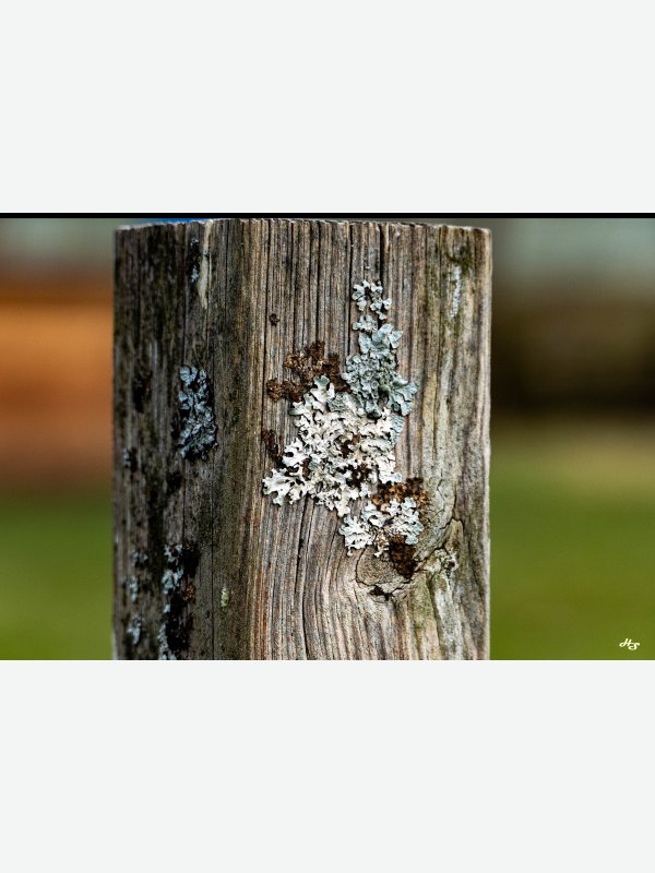 Einfach aber Schön - Heike Schüler