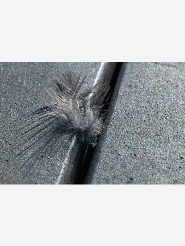 Eingeklemmte Leichtigkeit - Birte Behm