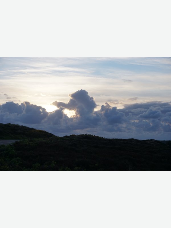 Elefant in den Wolken