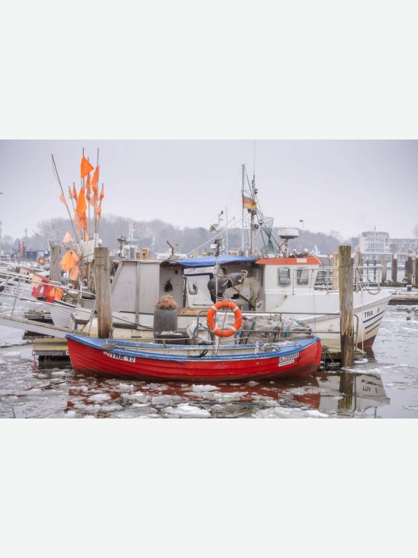 Fischereihafen Travemünde - Gisela Aul