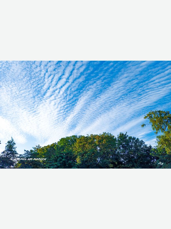 Himmel am Morgen - Heike Schüler