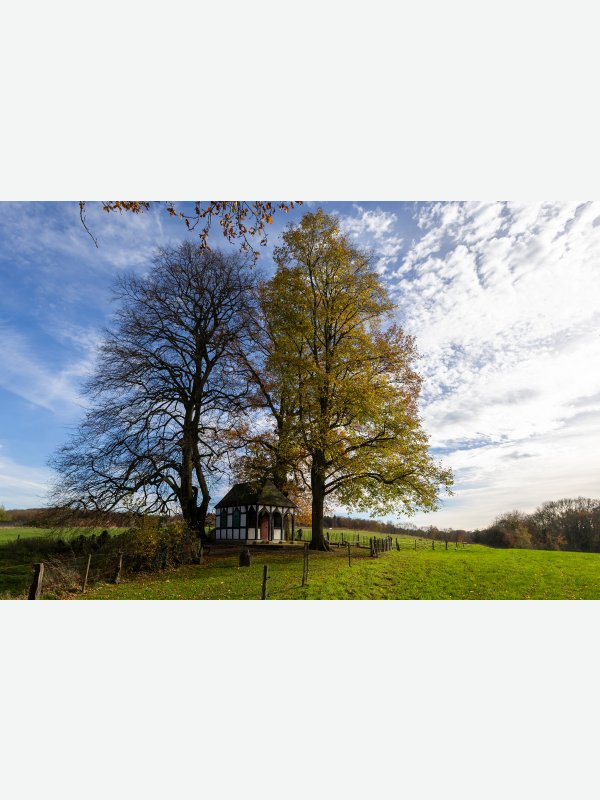 Abgestufter Herbst überm Rochuskapellche - Pascal Nolte