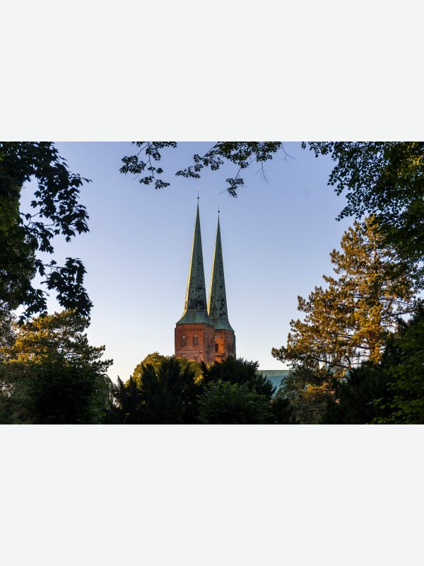 Lübecker DOM eingerahmt - Pascal Nolte