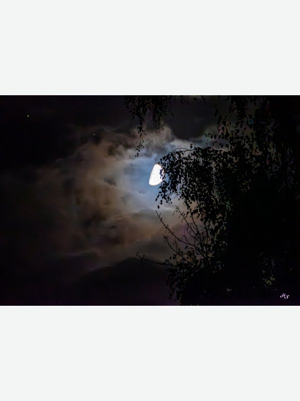 Mondschein - Heike Schüler