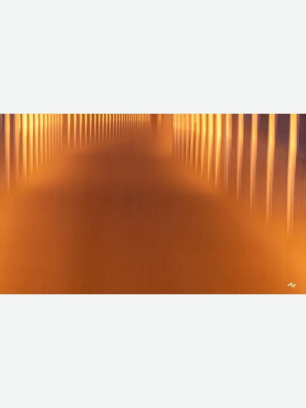 Morgens am Strand - Heike Schüler