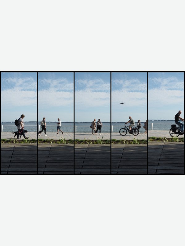 Movement 1 - Gregor Boos