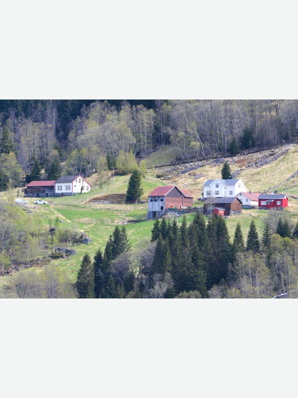 Norwegische Höfe - Thorsten Witt