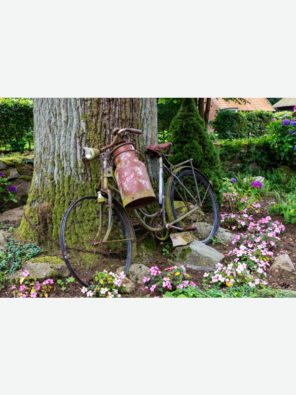 Nostalgisch - Heike Schüler