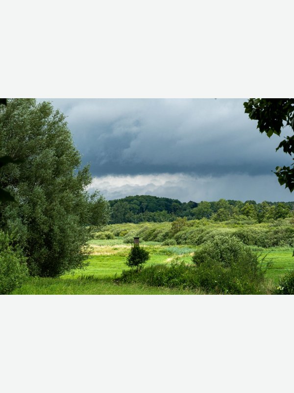 Oha Brenner Moor - Heike Schüler