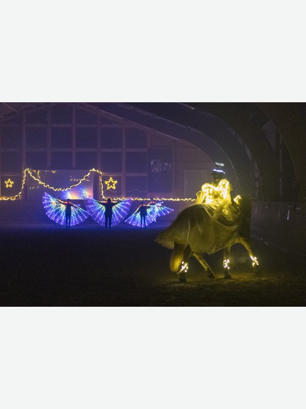 Weihnachtliches Schaubild - Pascal Nolte