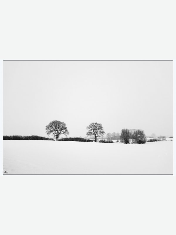 Scheelandschaft in SH - Claus Müller