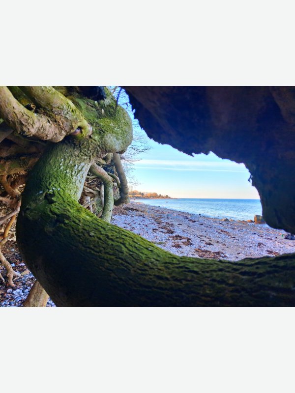 Uferblick - Thorsten Witt